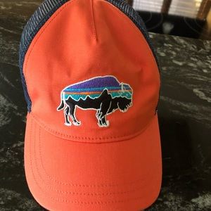 patagonia snapback hat
